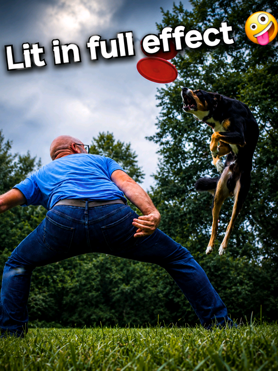 @High Performance Canines