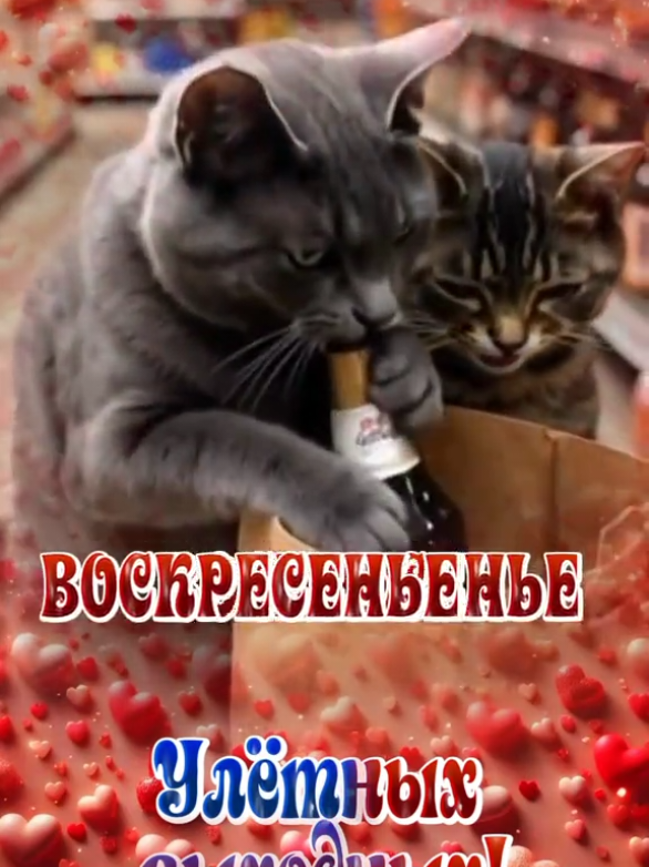 @Видеооткрытки