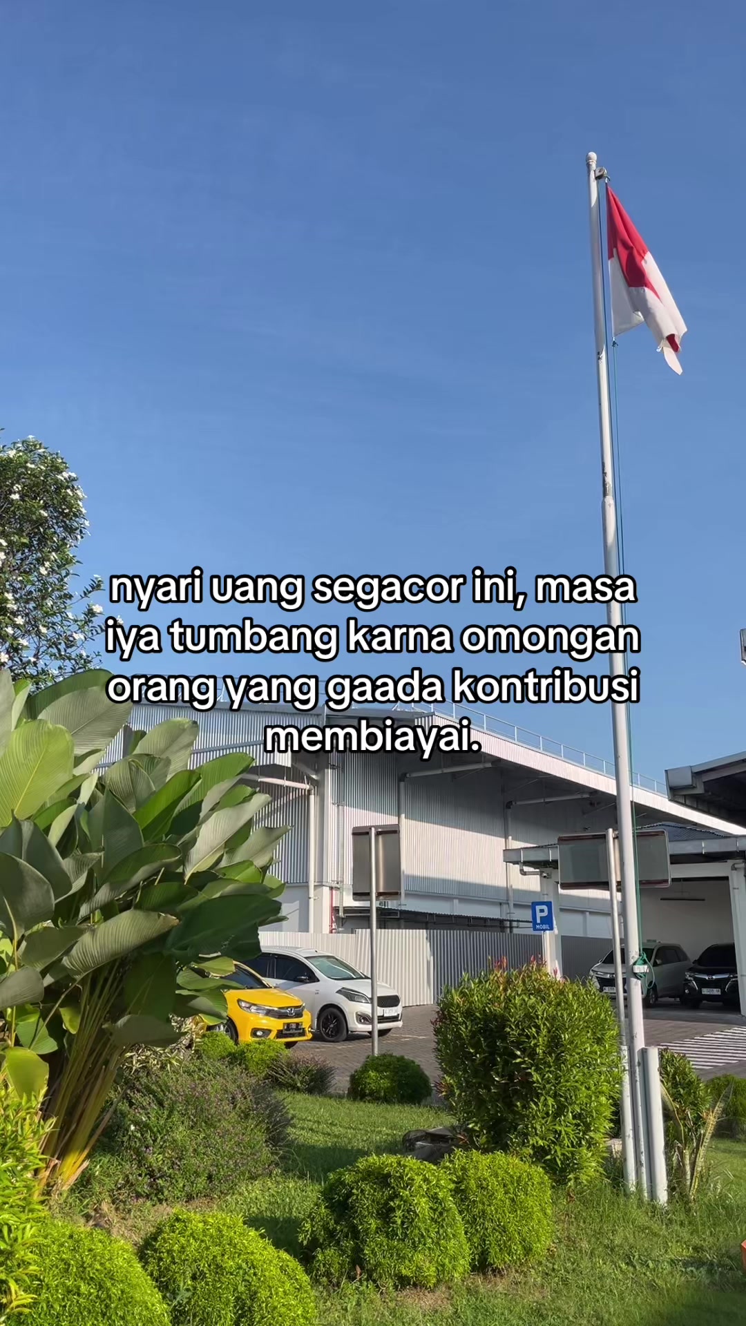 @Yws