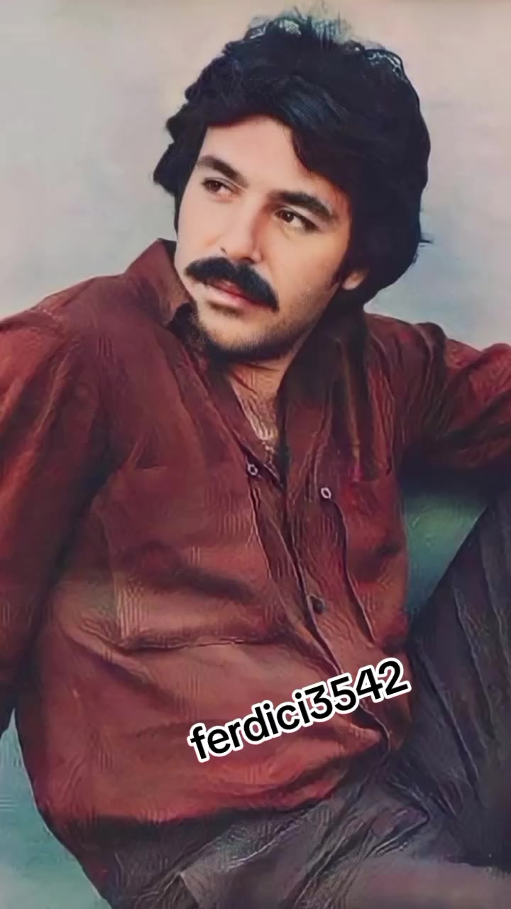 @ferdici3542