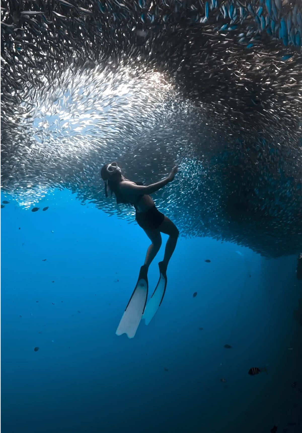@divewith_eyJ