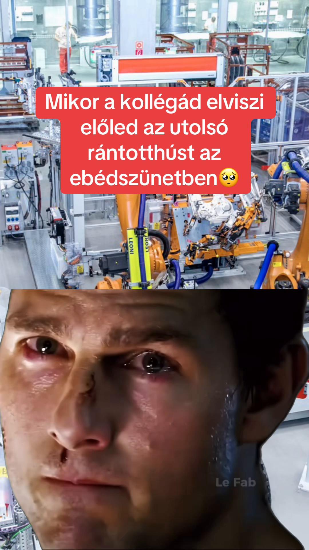 @MemeFactory