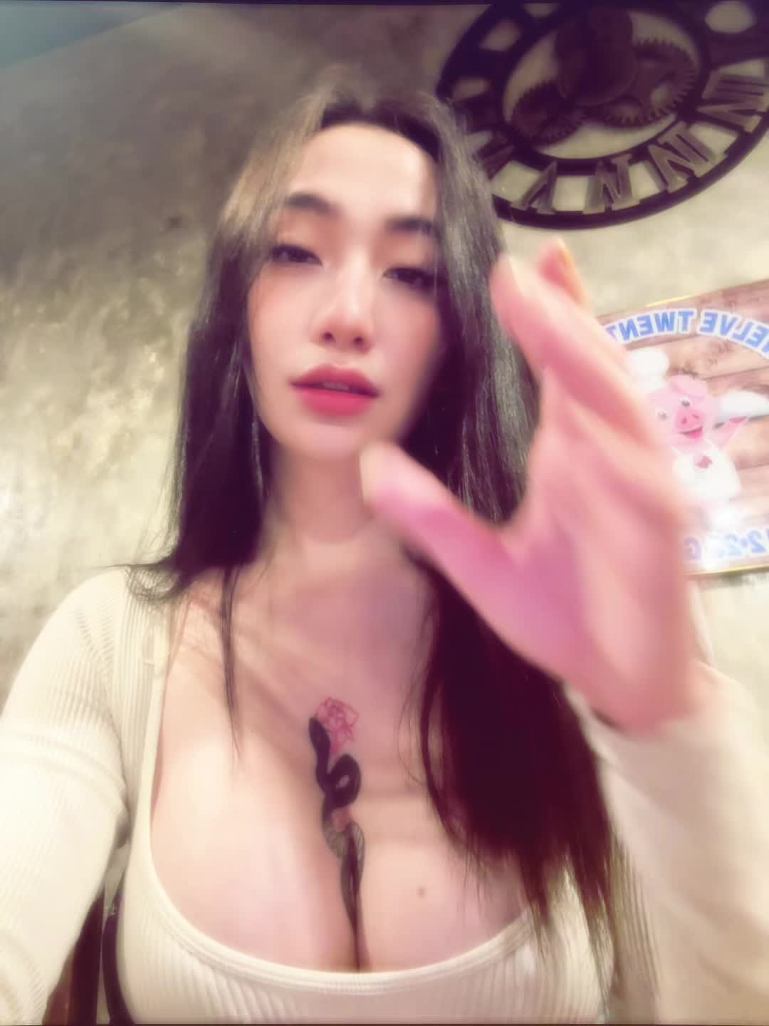 @flysscaie