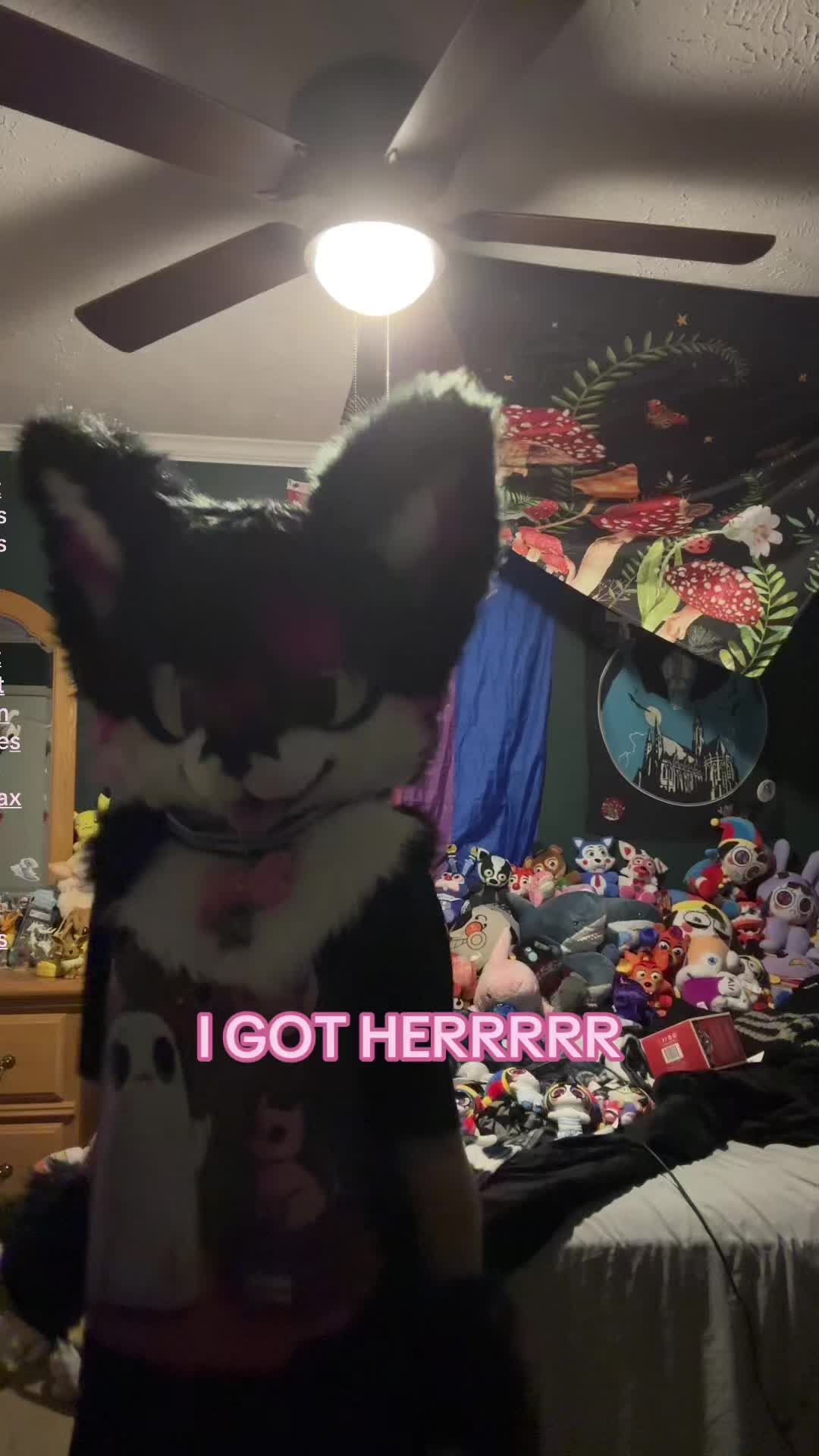 @✮彡🐾NOOT🐾✮彡