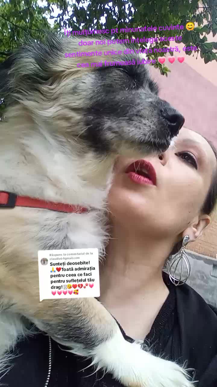@francesca