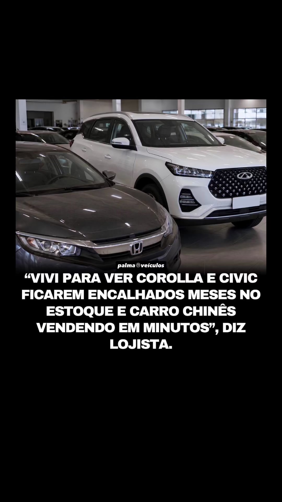 @palmaveiculos