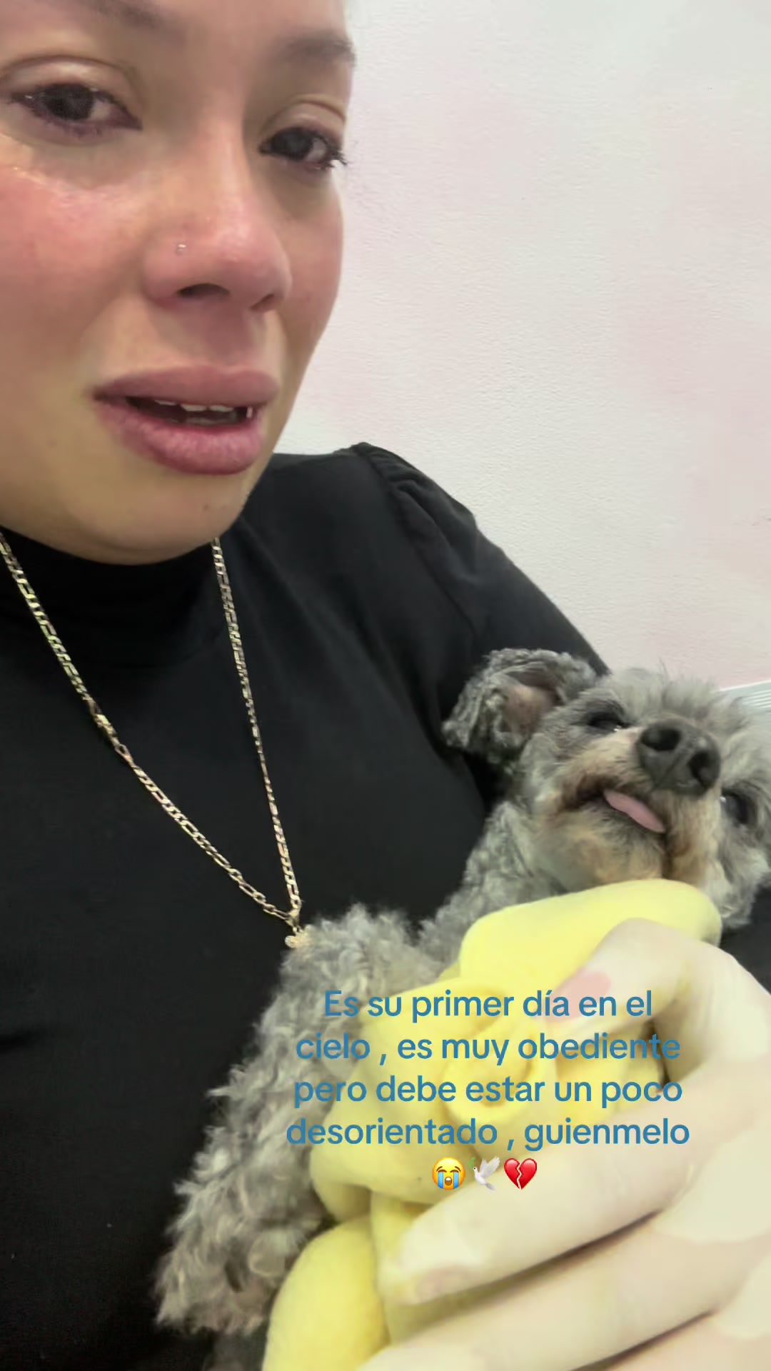 @AshlyCR