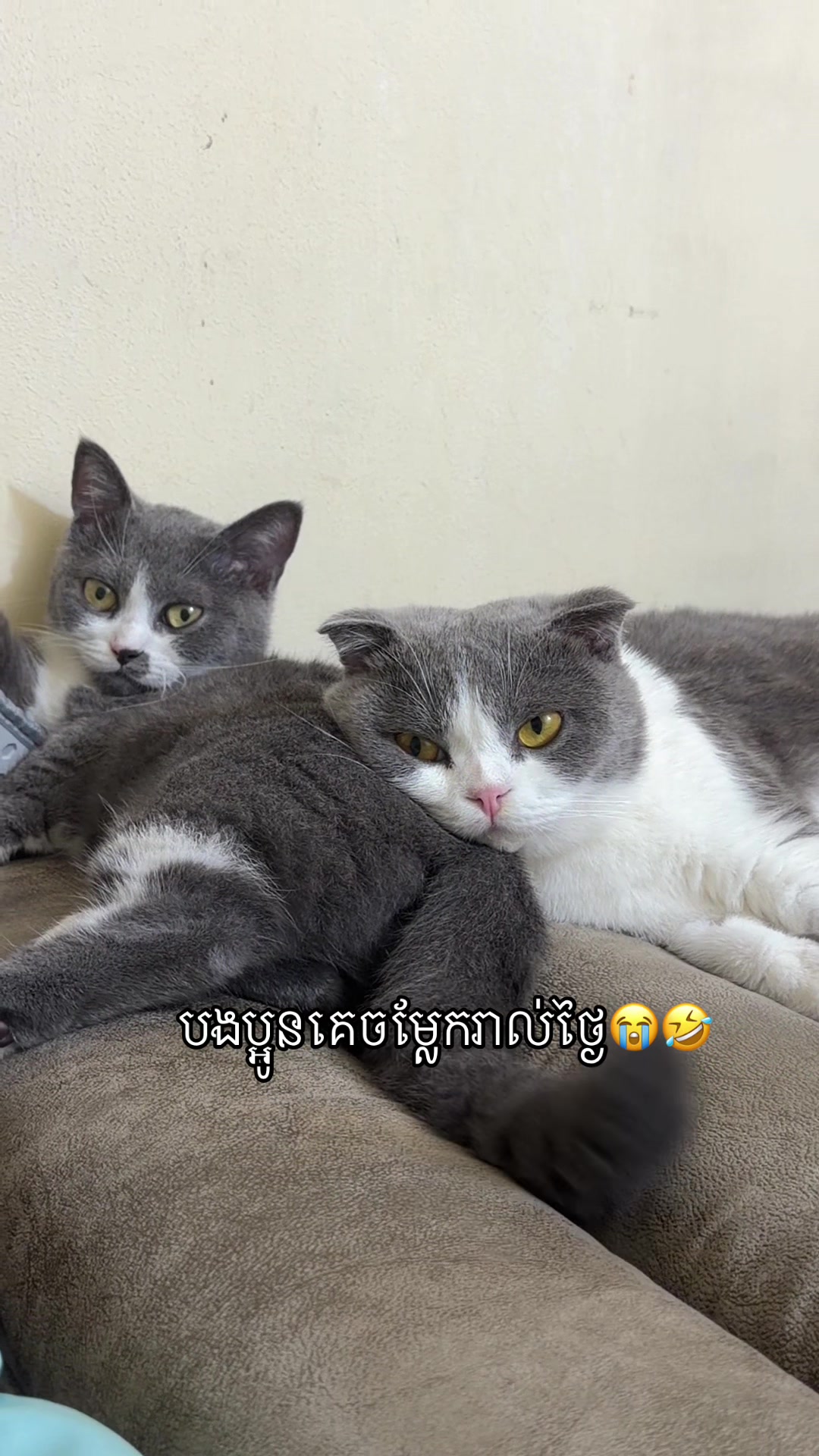 @Jinjin&mimi