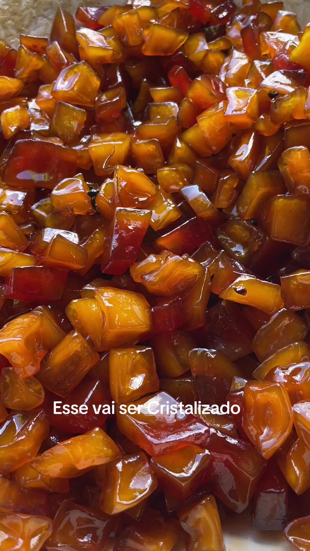 @edna camargo