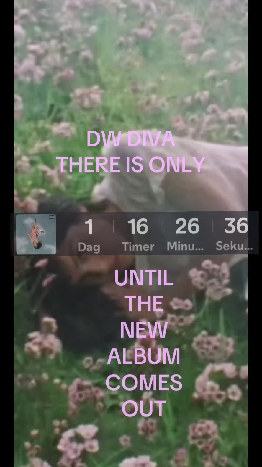 @๐ฟ๐๐ฃ๐๐โจ๐ฉท (๐ ๐๐๐๐๐๐)