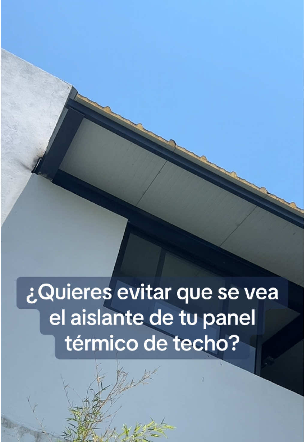 @PolicasaQro