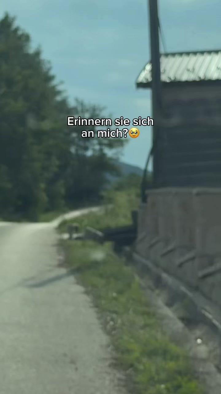 @natürlich patrik