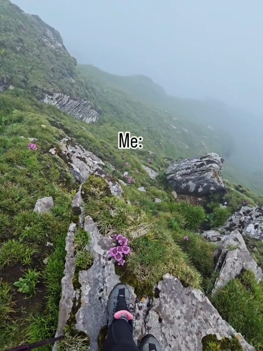 @archiexplorer