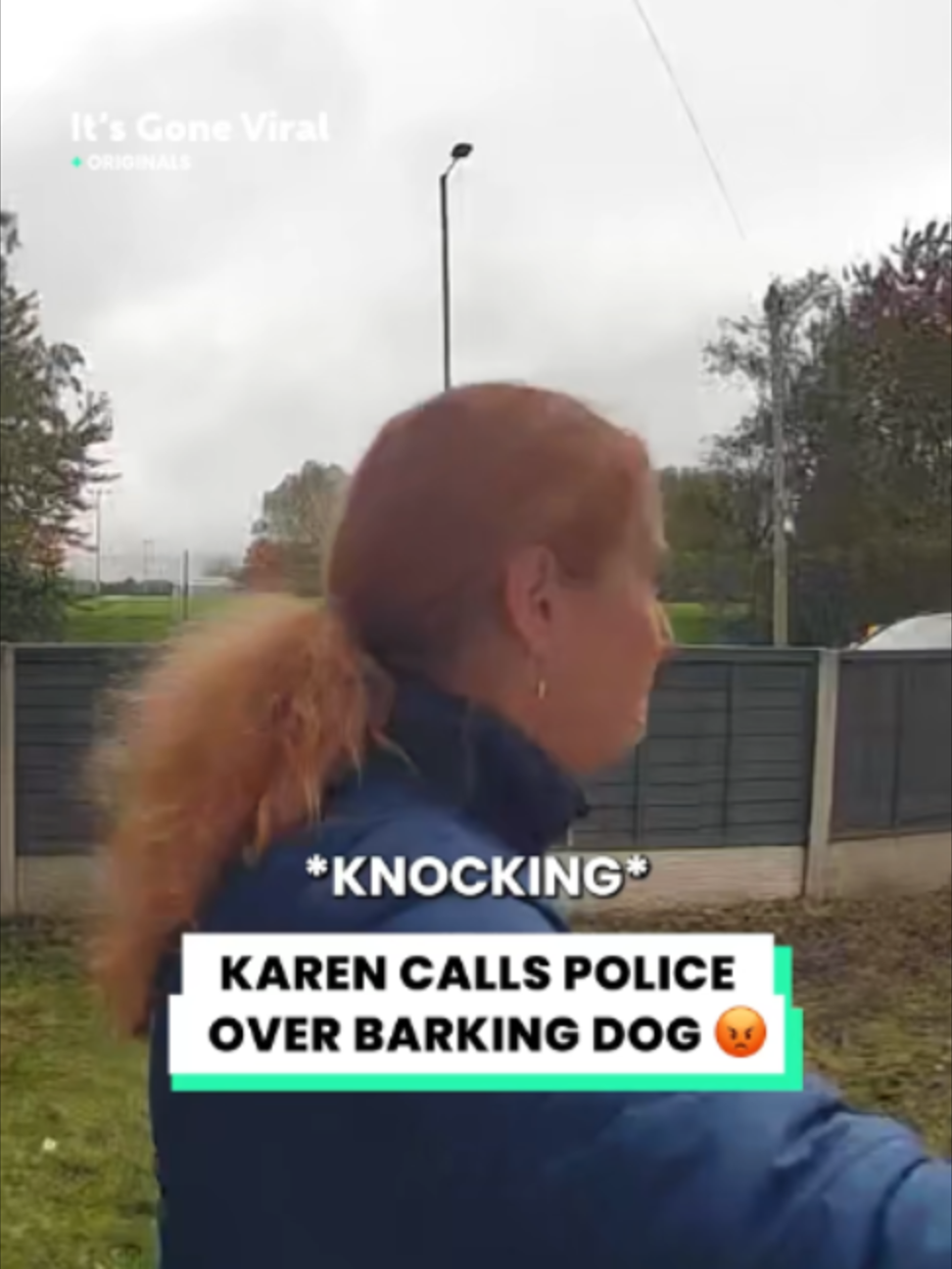 @Go Fetch