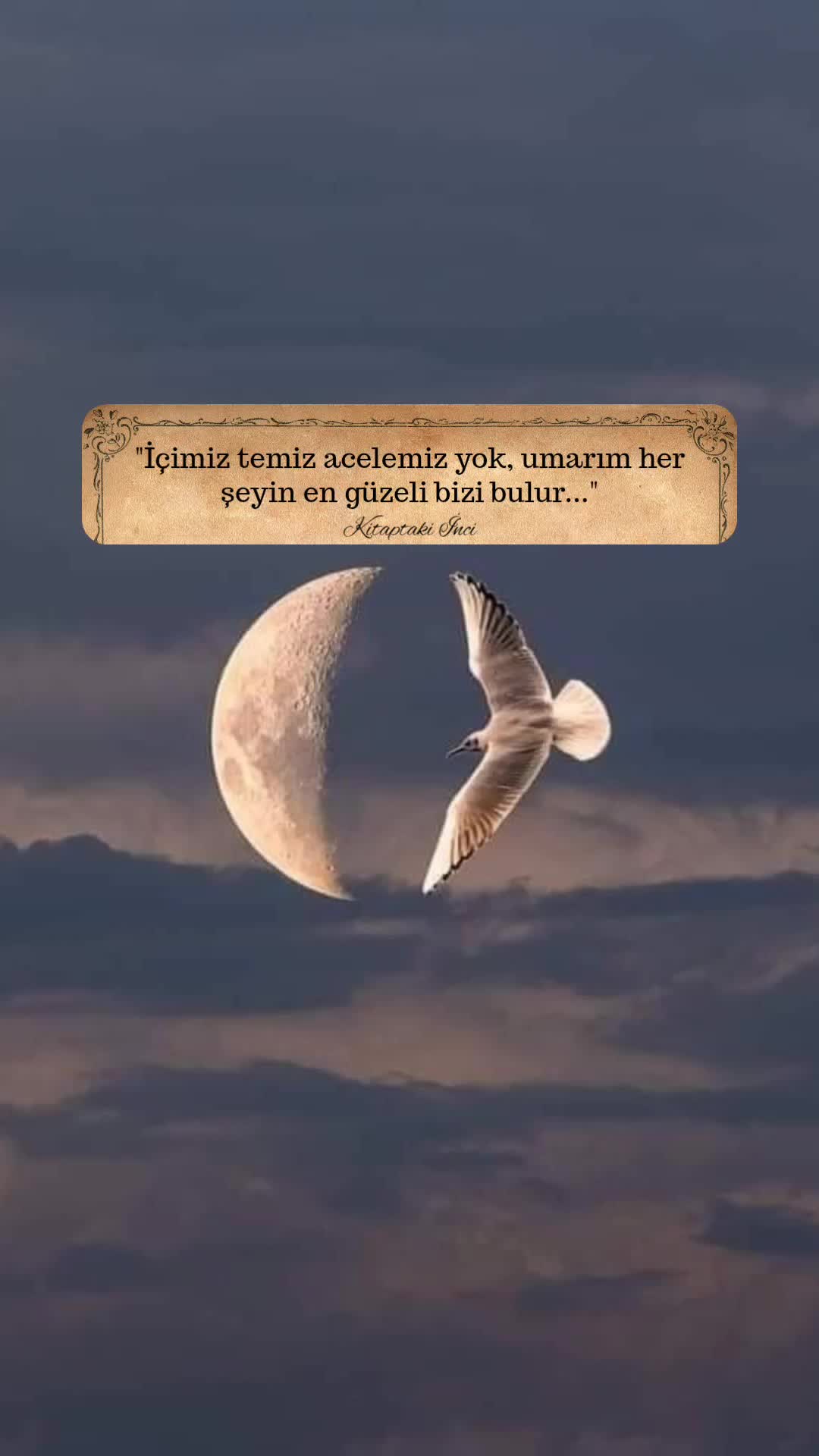@Kitaptakiinci