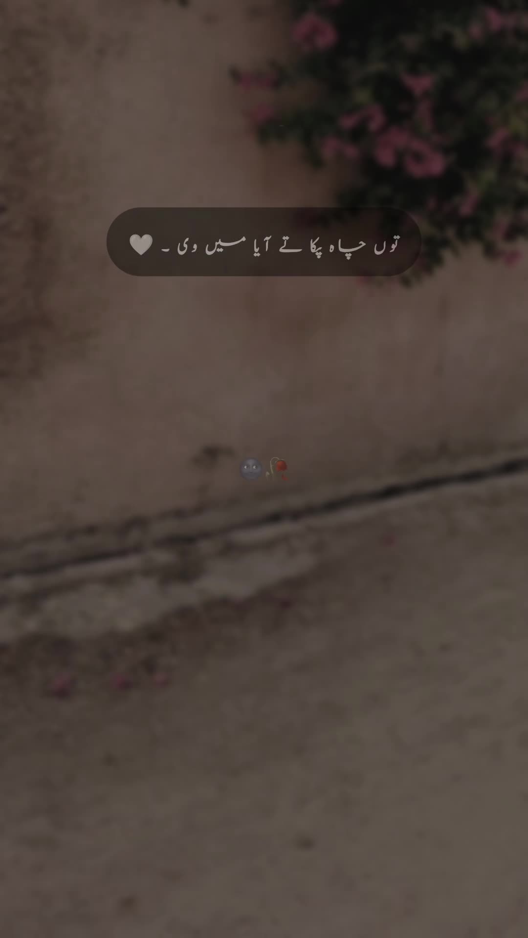 @𝐒 𝐚 𝐌 𝐢 🍂🫀
