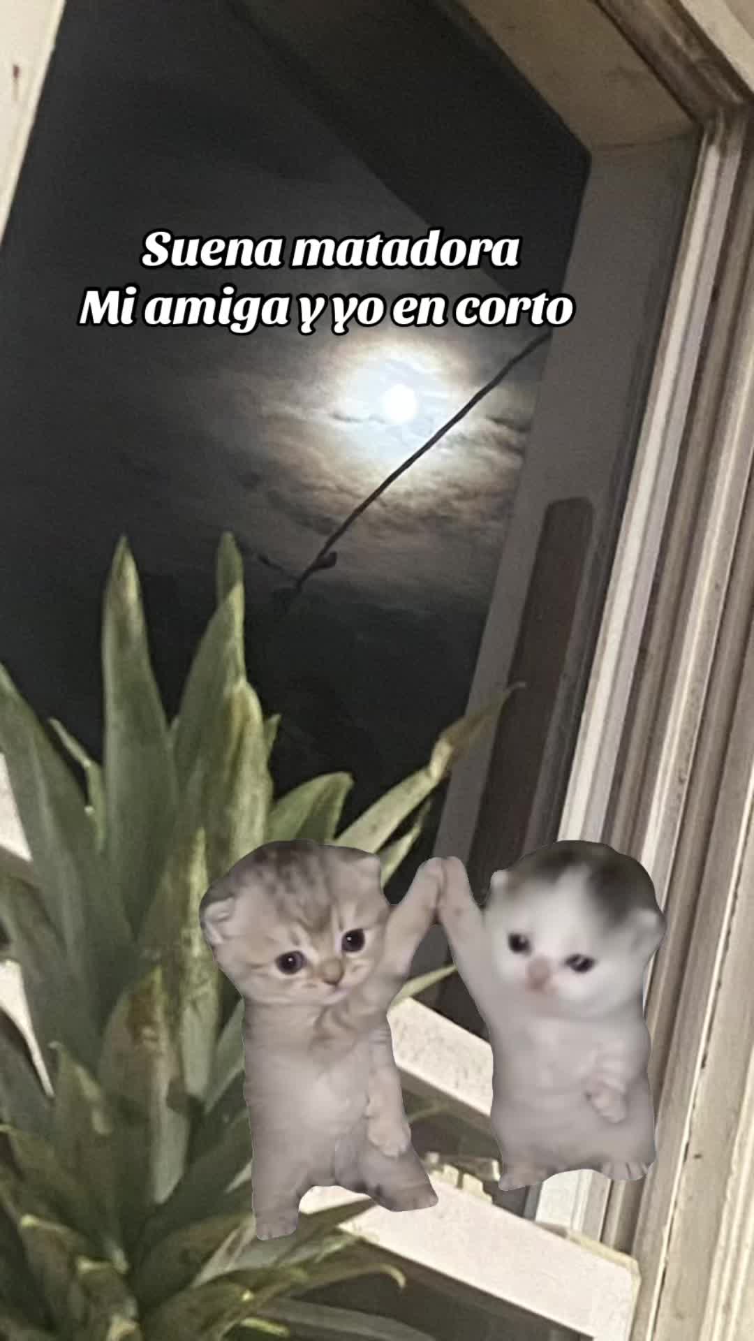 @💛Bonita_Girasol91