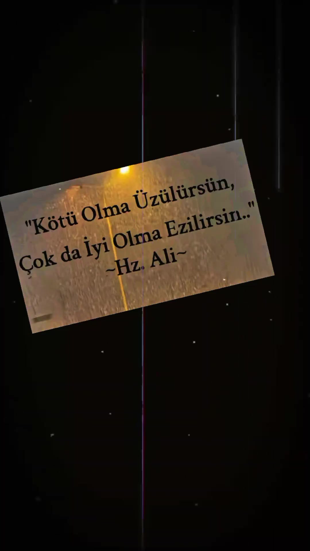 @papatya