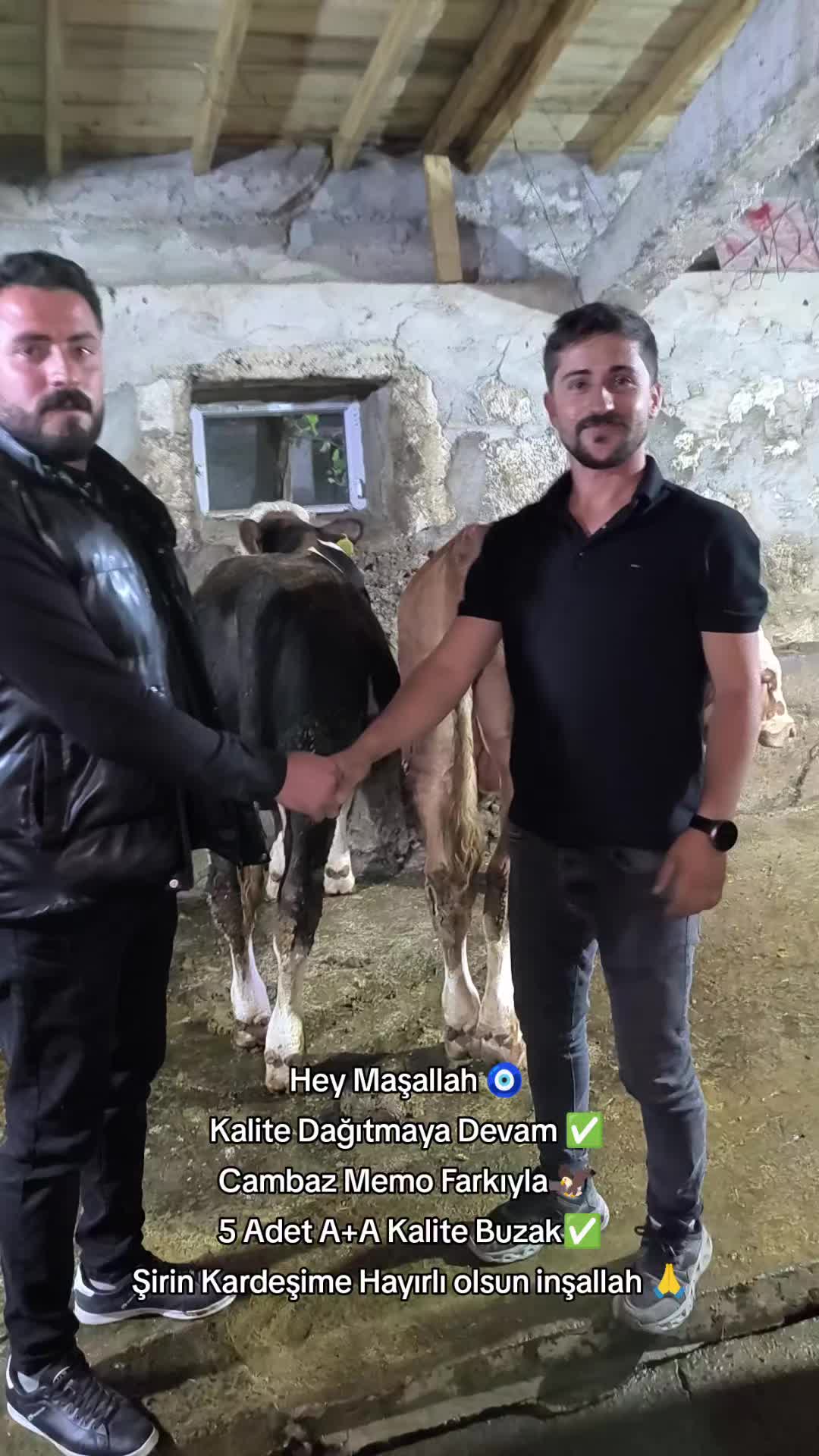 @👑Cambaz Memo Şen👑
