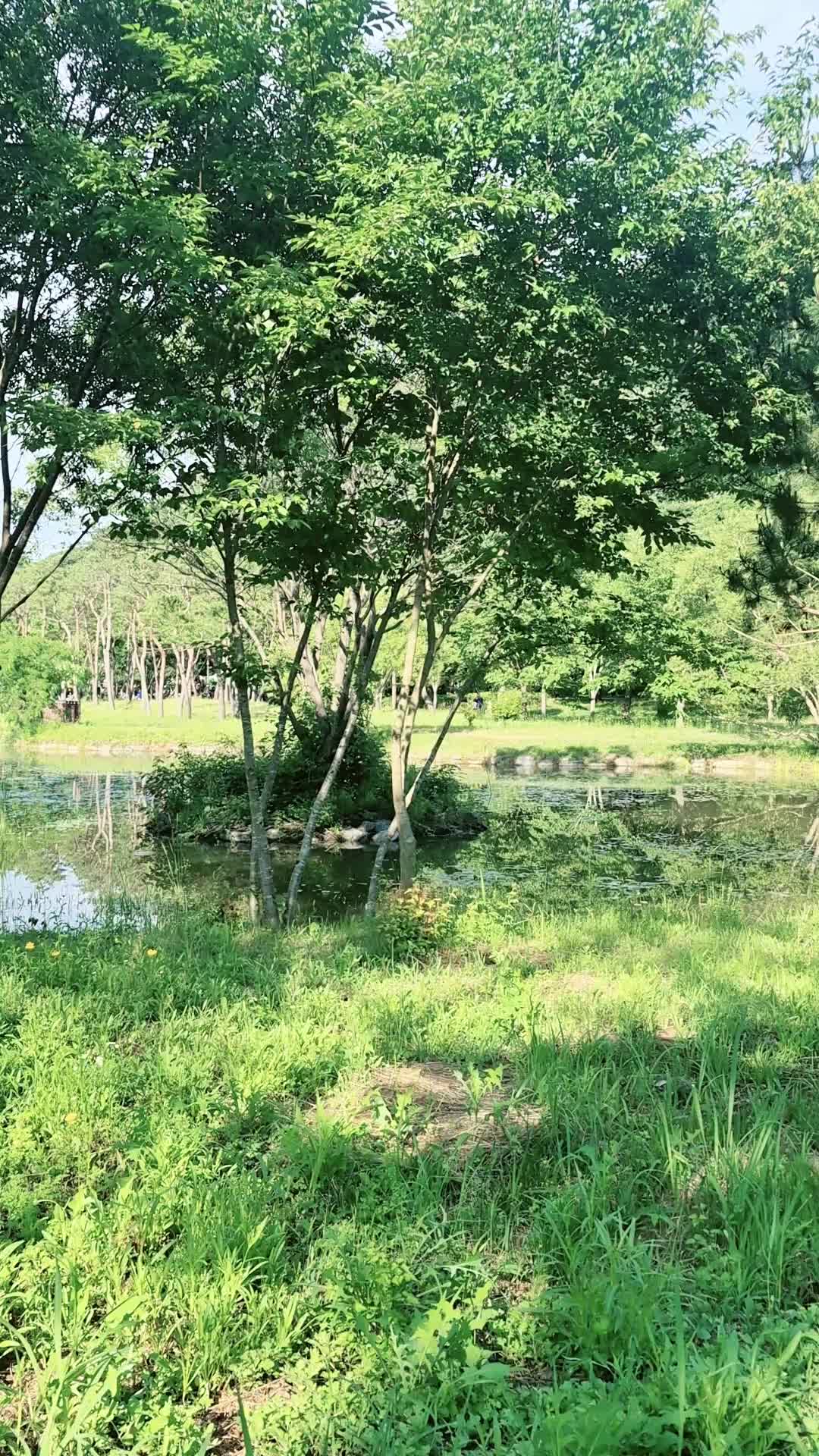 @캔디