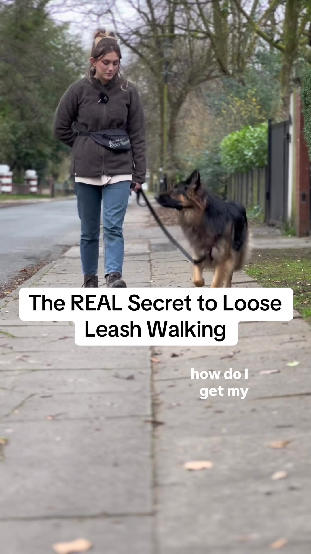 @Amelia the Dog Trainer