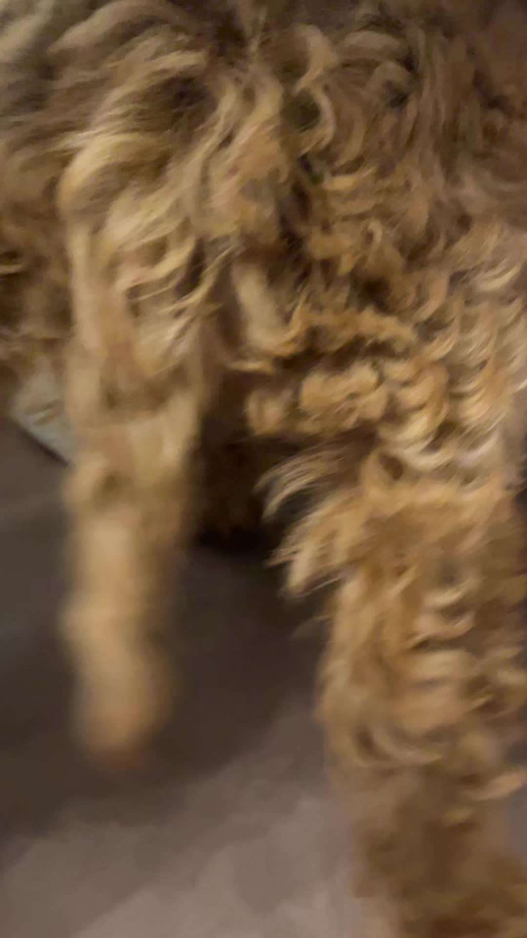 @maggiemoooo