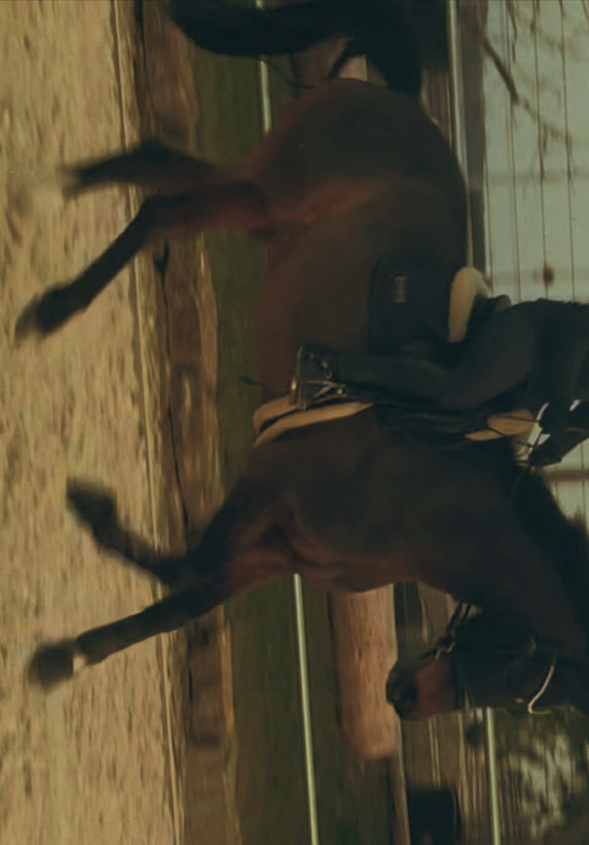 @Horses_rb_