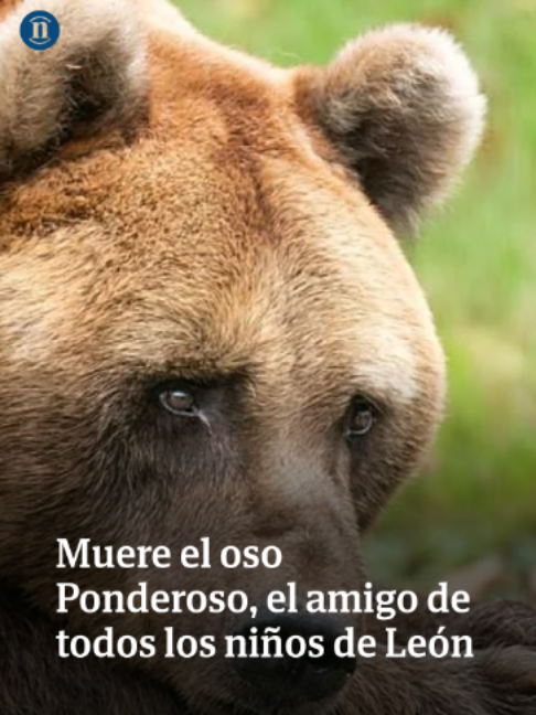 @leonoticias_