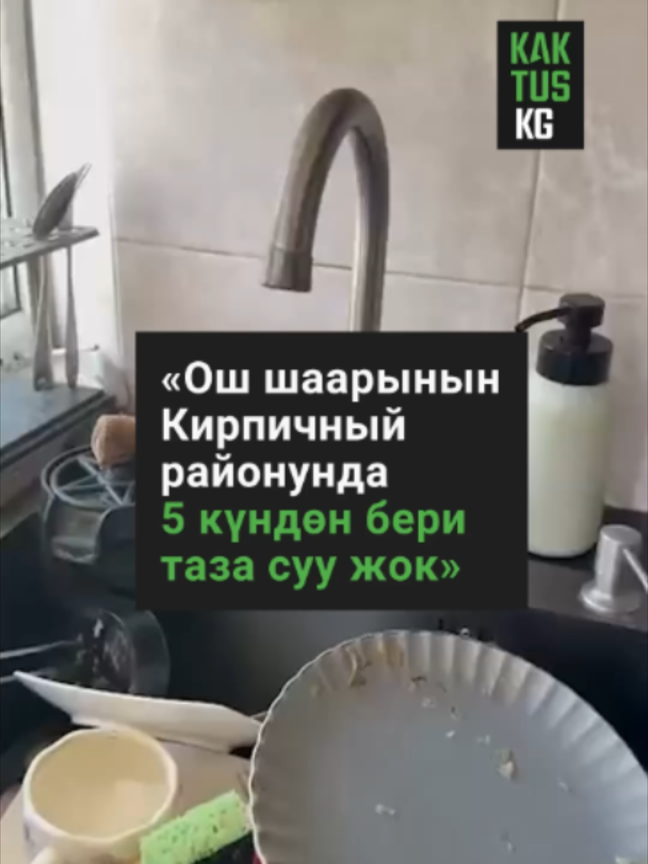 @Kaktus KG