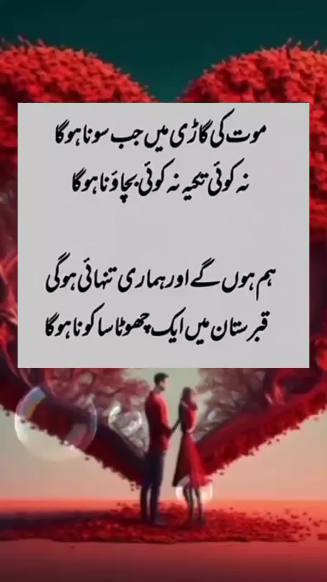 @sharaiz