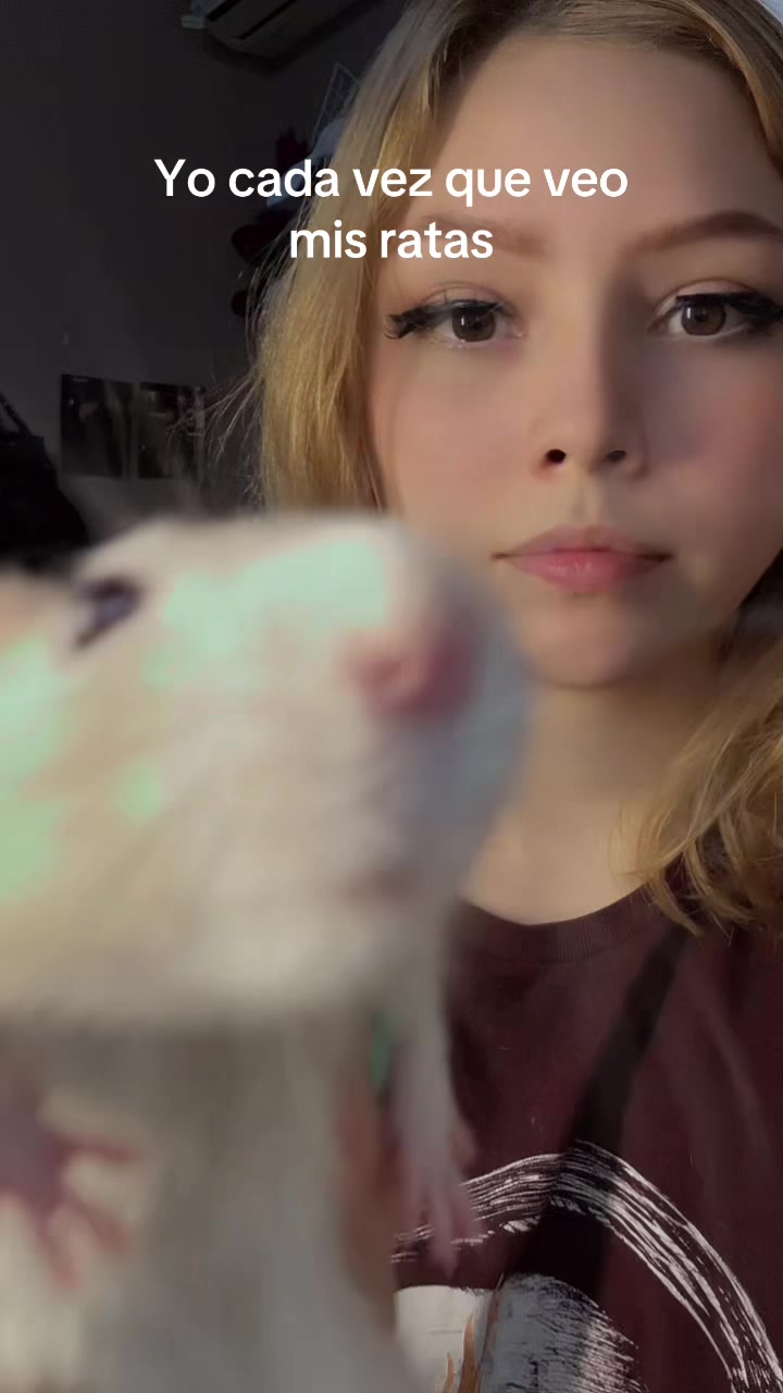 @angcasmusic