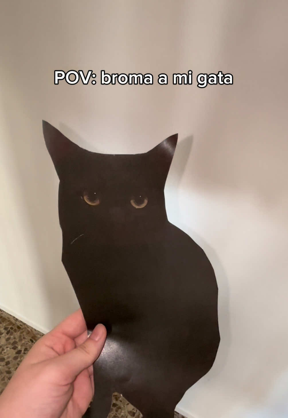 @BlackCatsMatter