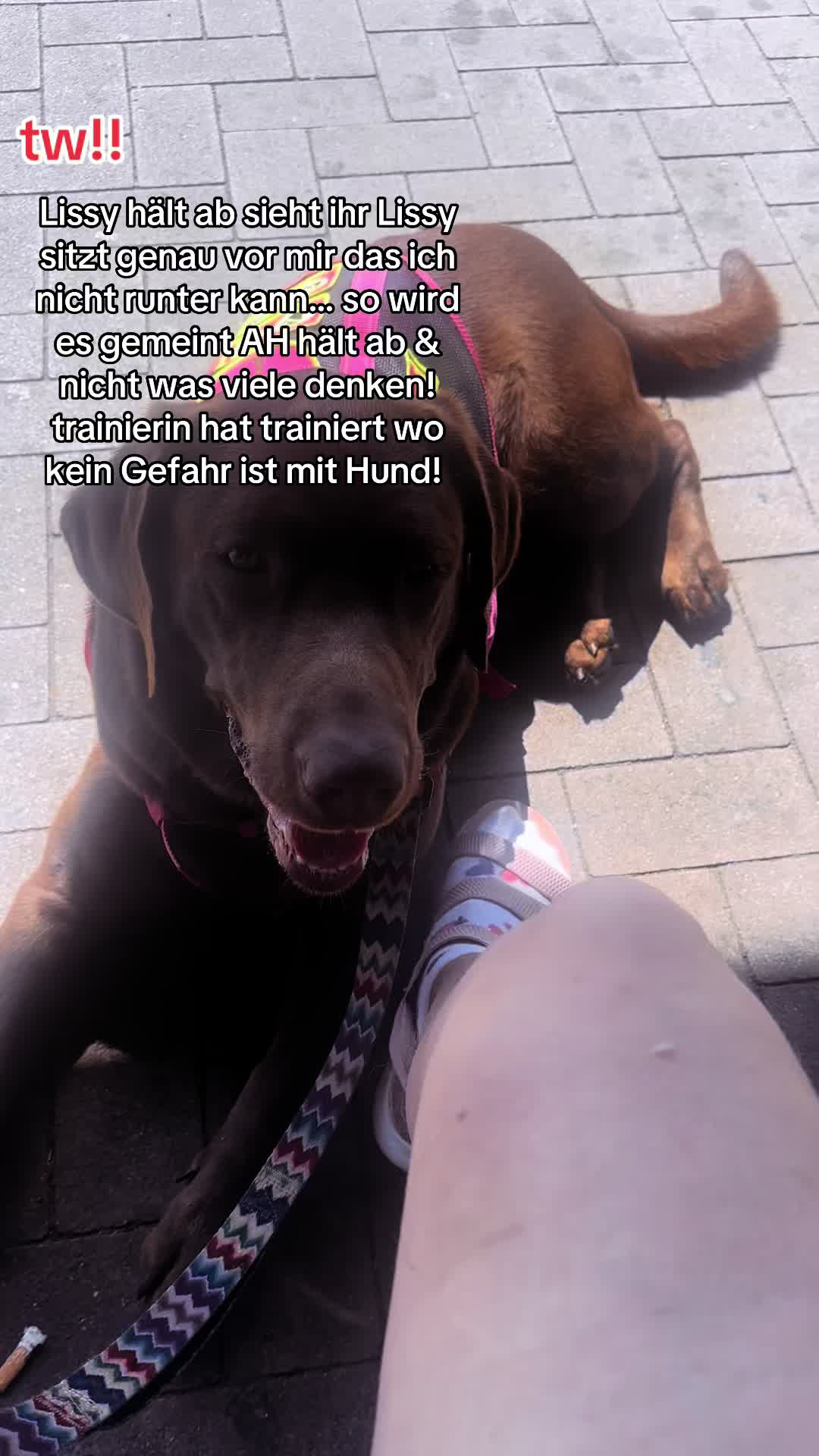 @teamlidialissy