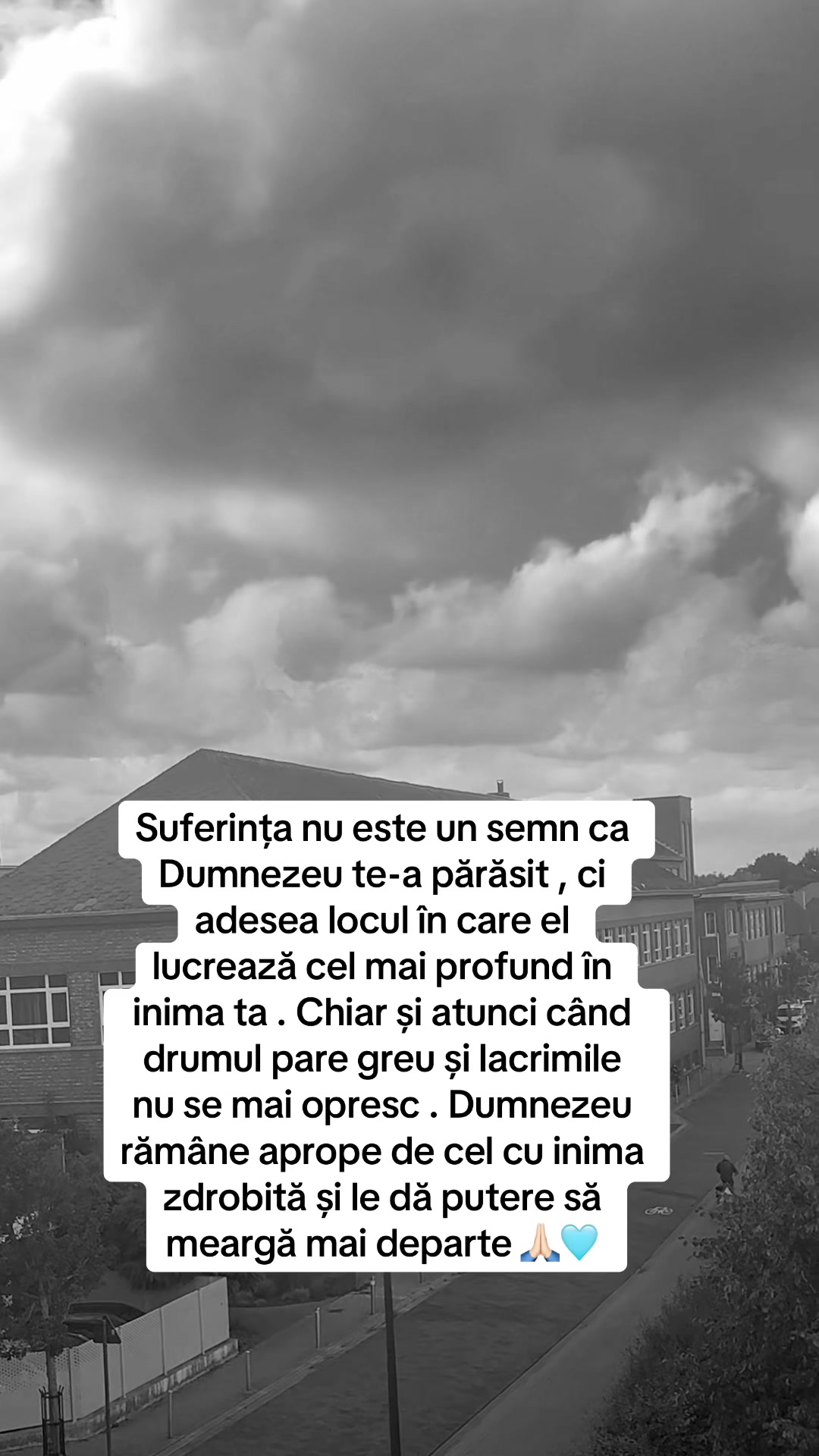 @ELVIRA COCOLOȘ ✅@