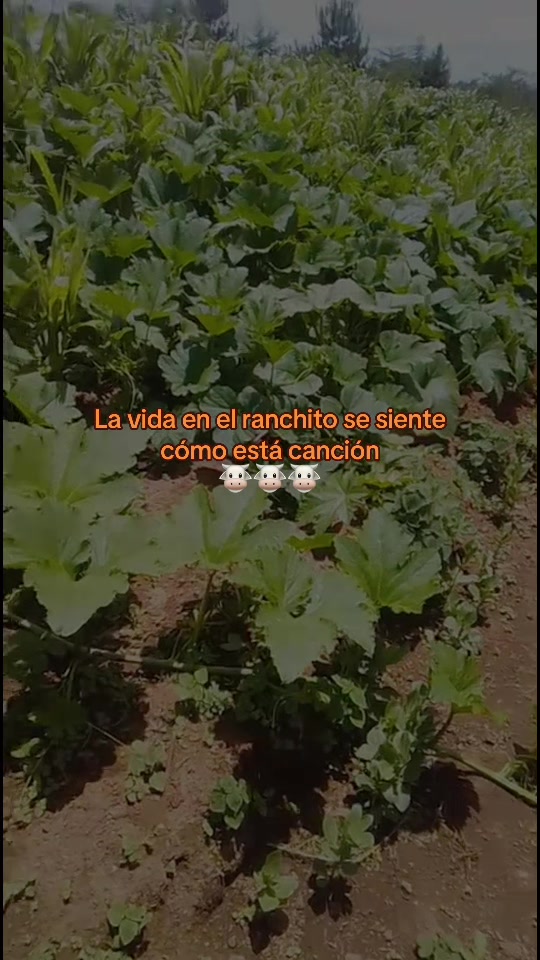 @😊♥️Ruperto cruz de zamora♥️😊