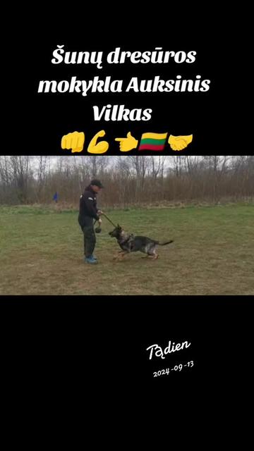 @Vidmantas Selvenis