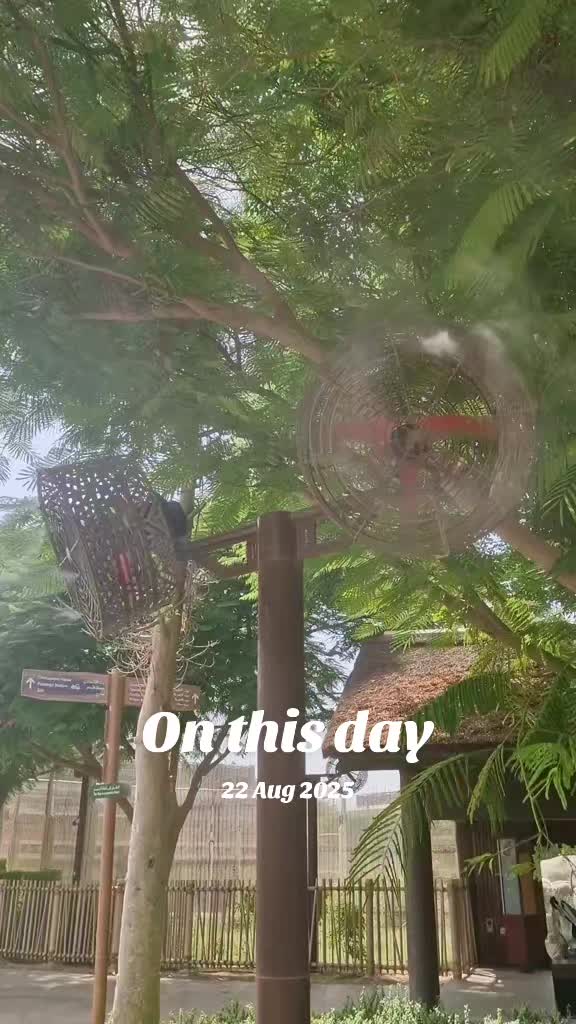@nira🇧🇩🇬🇧
