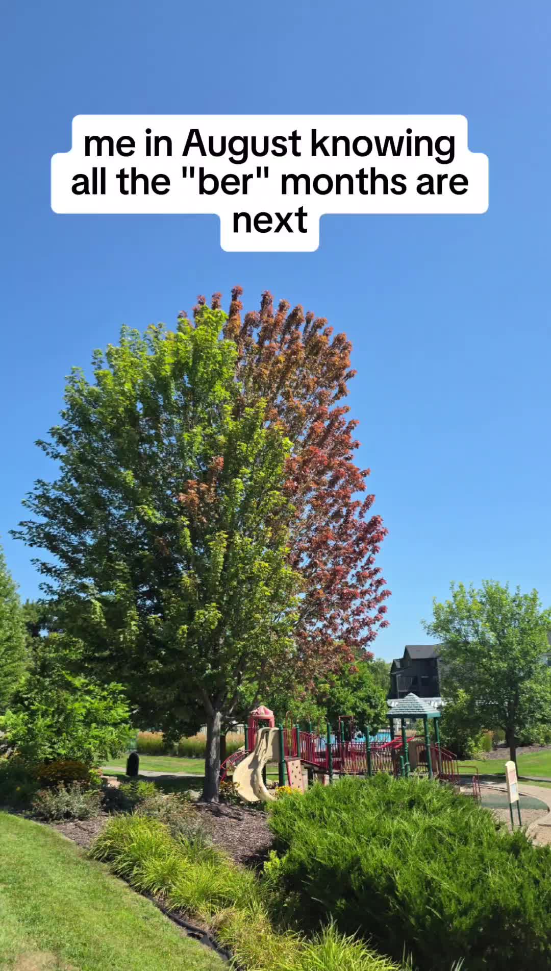 @🪻ꪀꪖ𝕥ꪖડꫝꪖ🪻