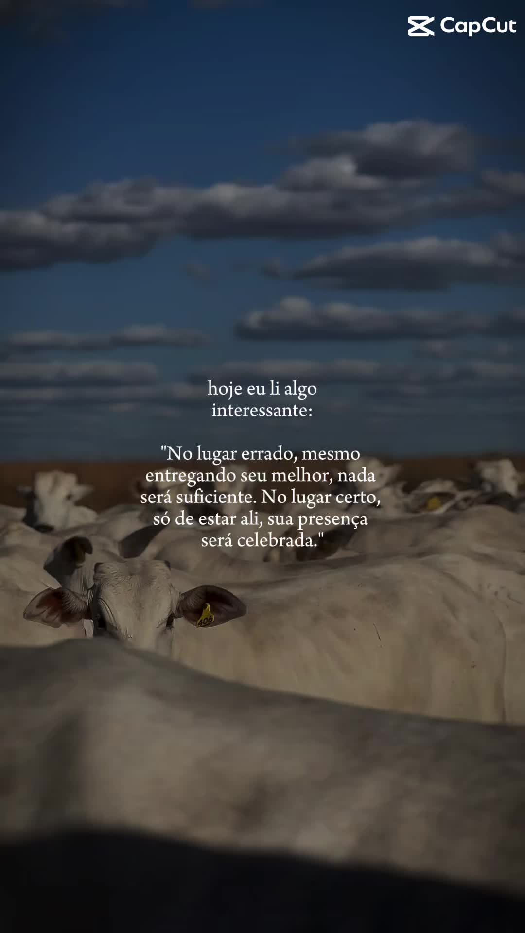 @Henrique Fagundes