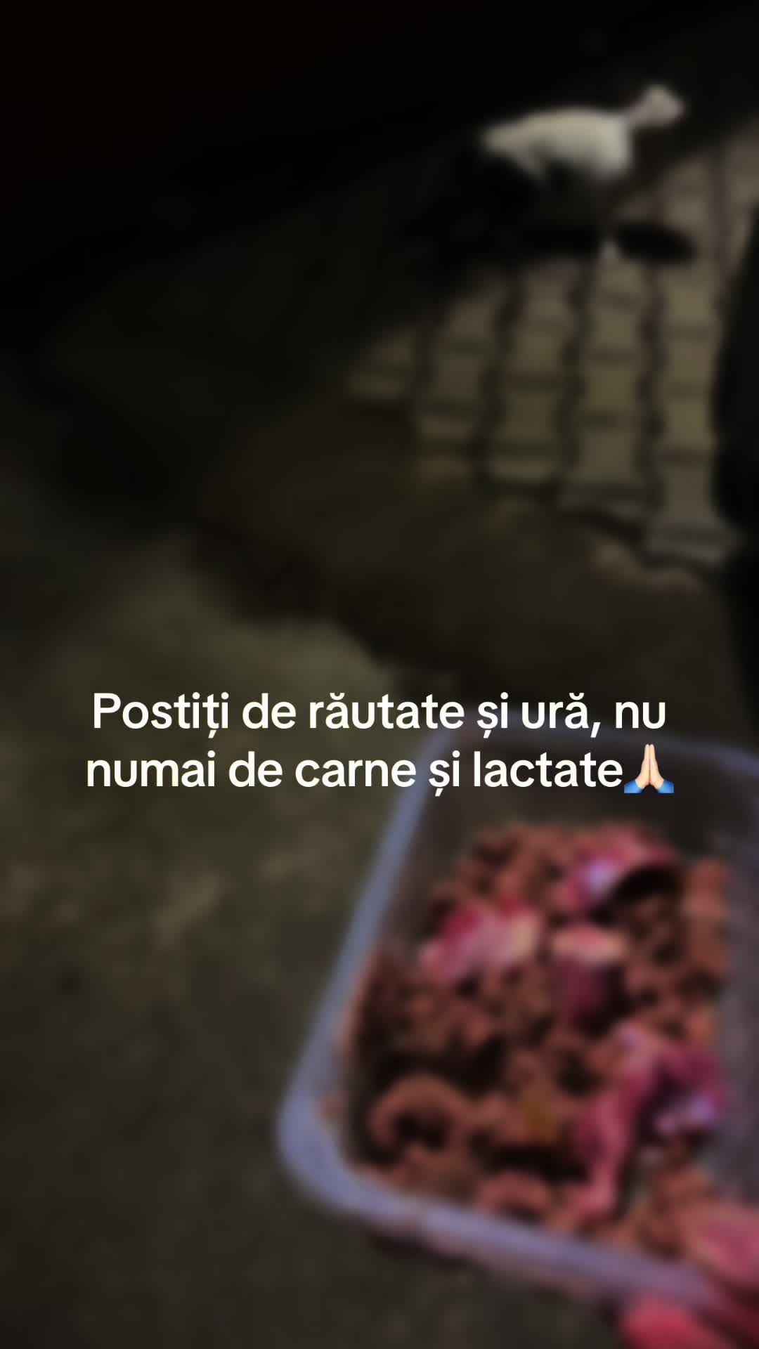 @Ramona Lupu