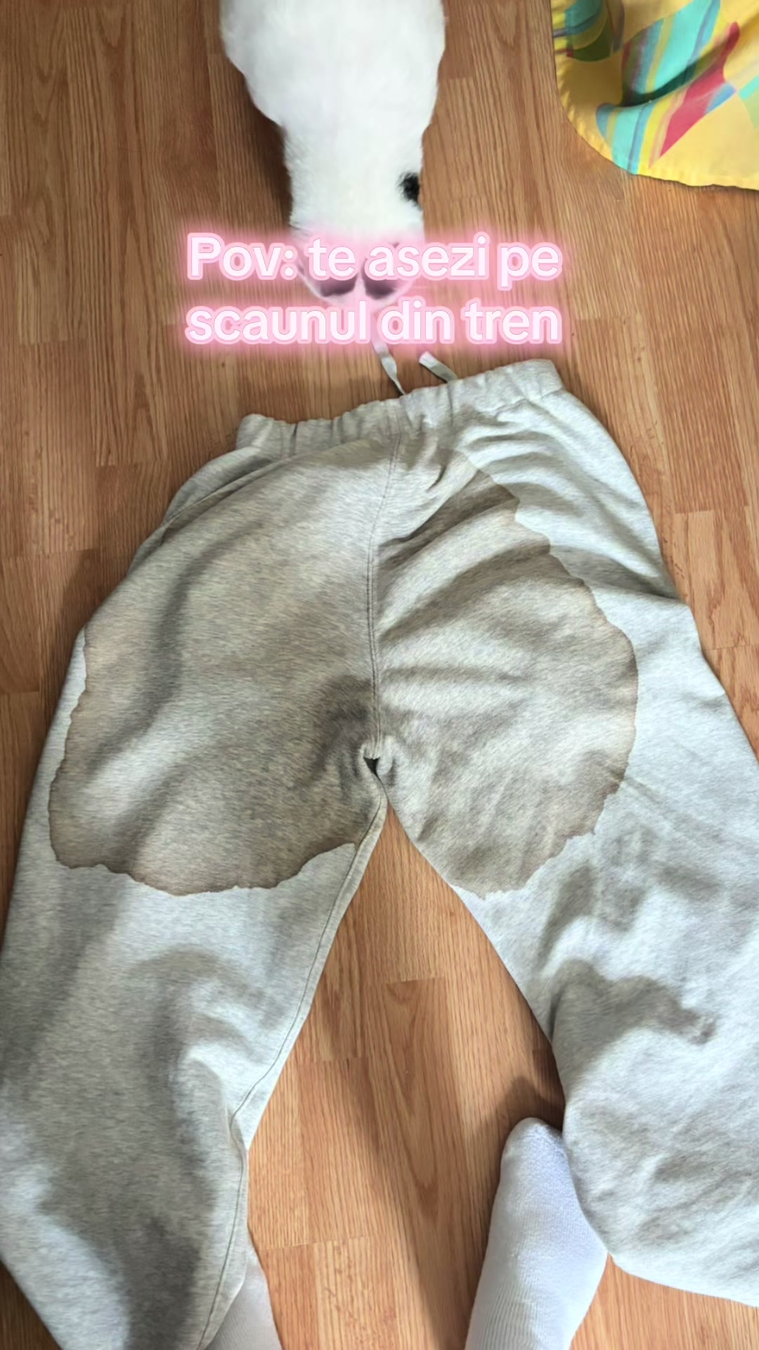 @Karatecubianca🥋