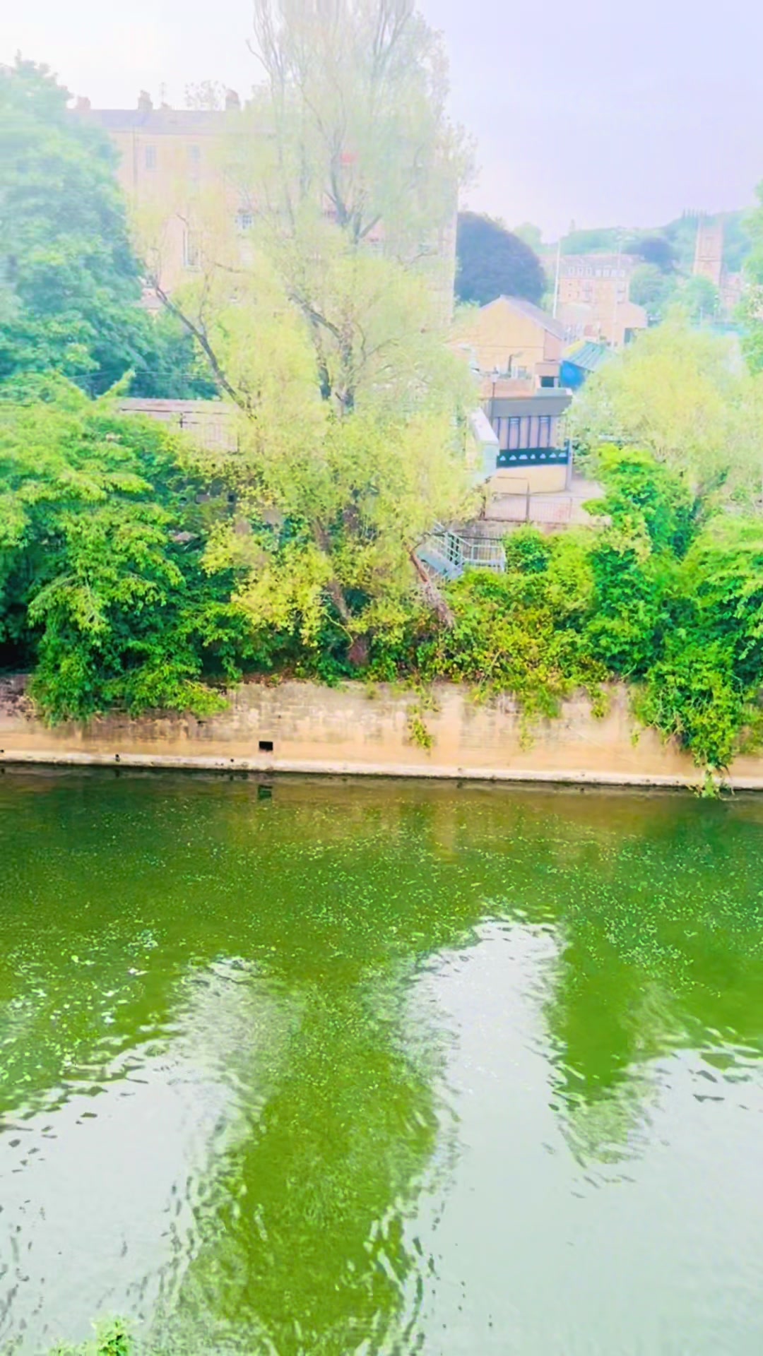 @Chand Rizwan 🇵🇰🇬🇧