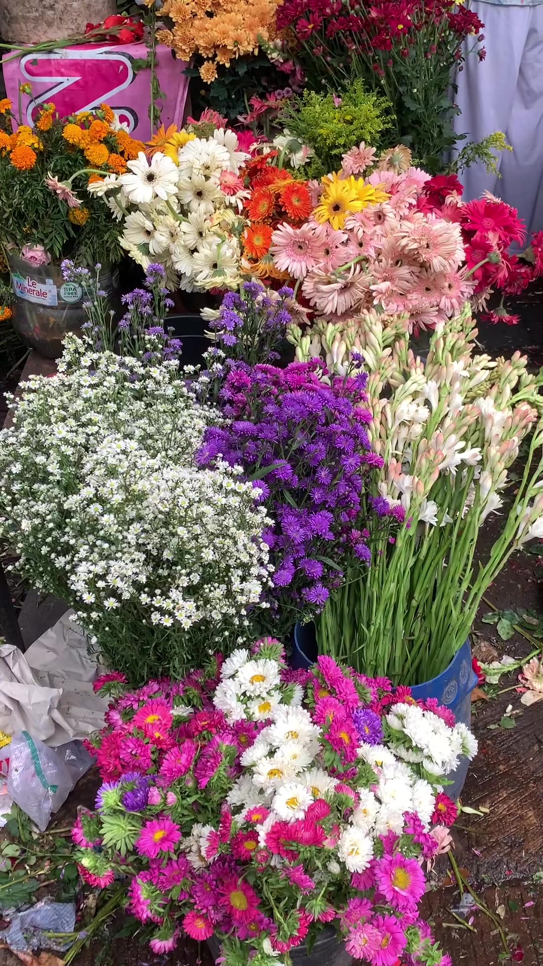 @🎀𝒔𝒂𝒂🌸