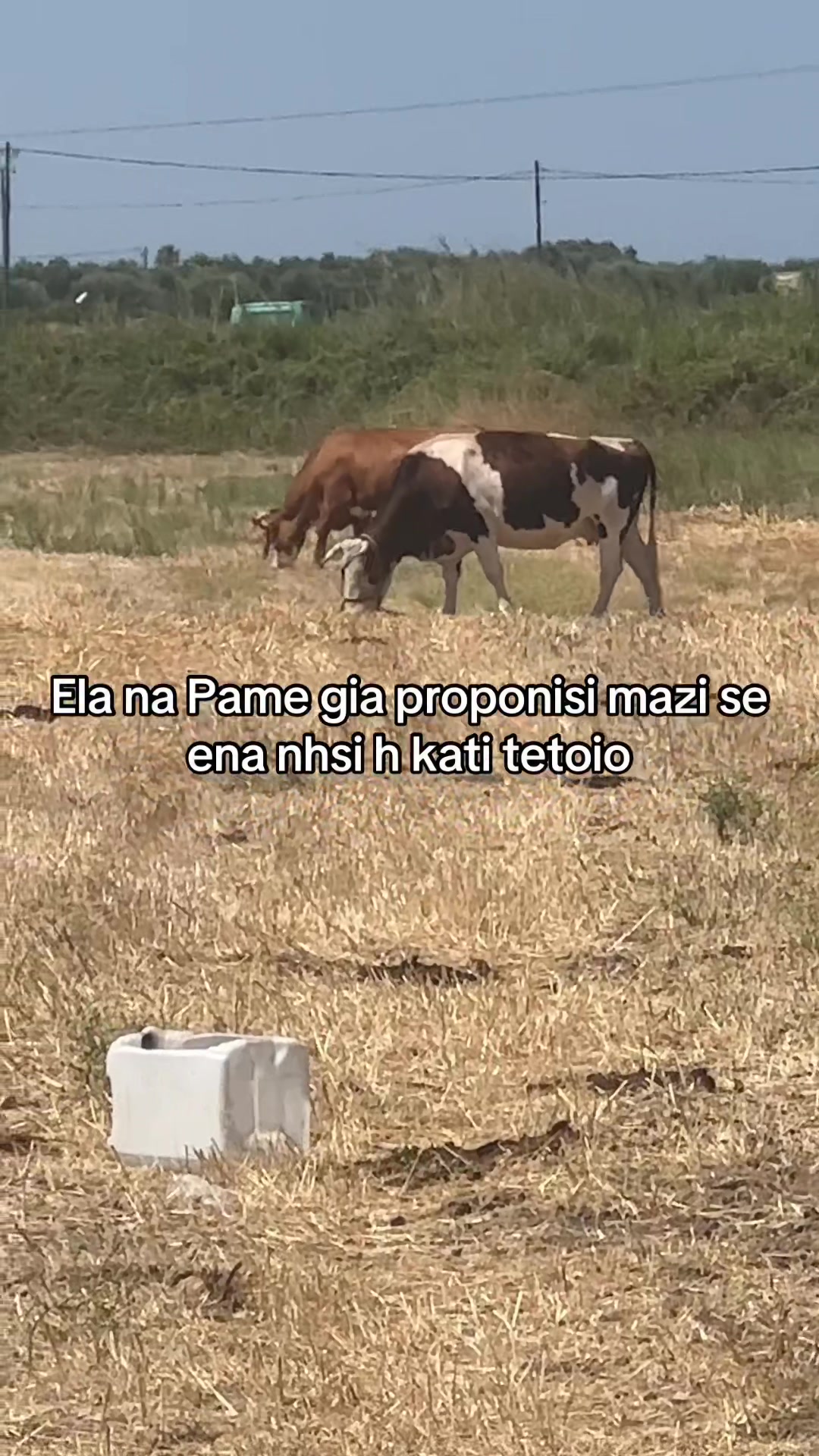 @Tsampikos_Kaloudis