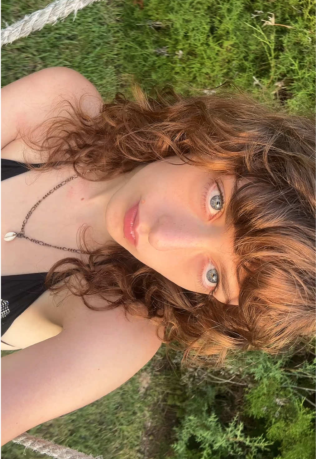 @dylanspamm
