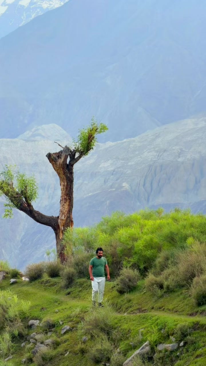 @Fakhar Alam