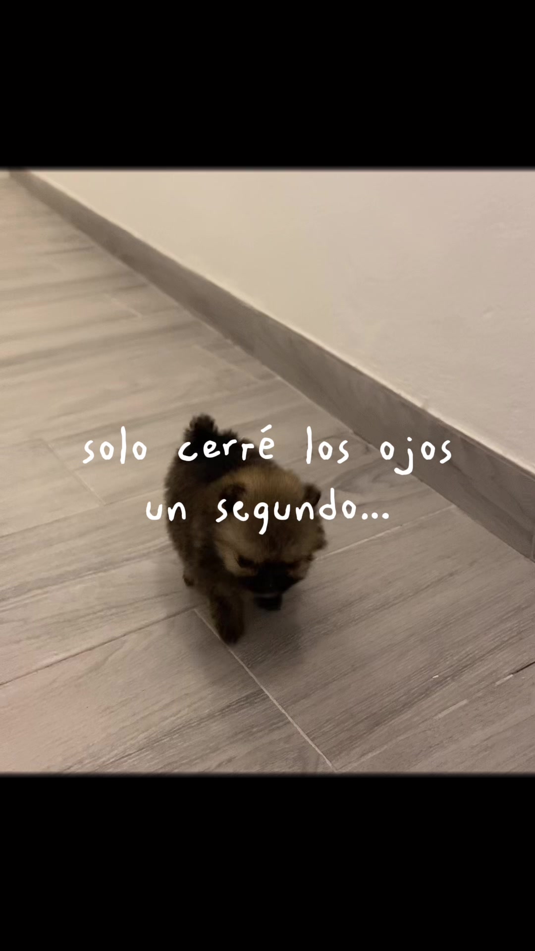 @Lou🐺