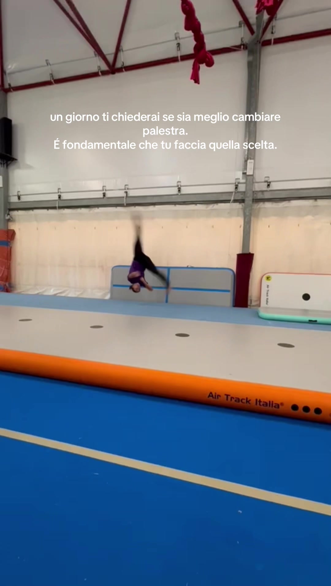 @sofia correa