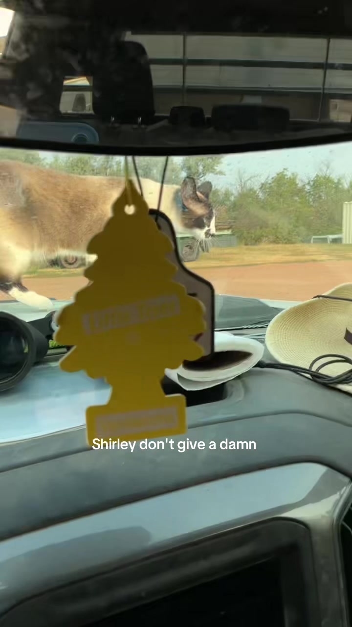 @dailyd0seofmk
