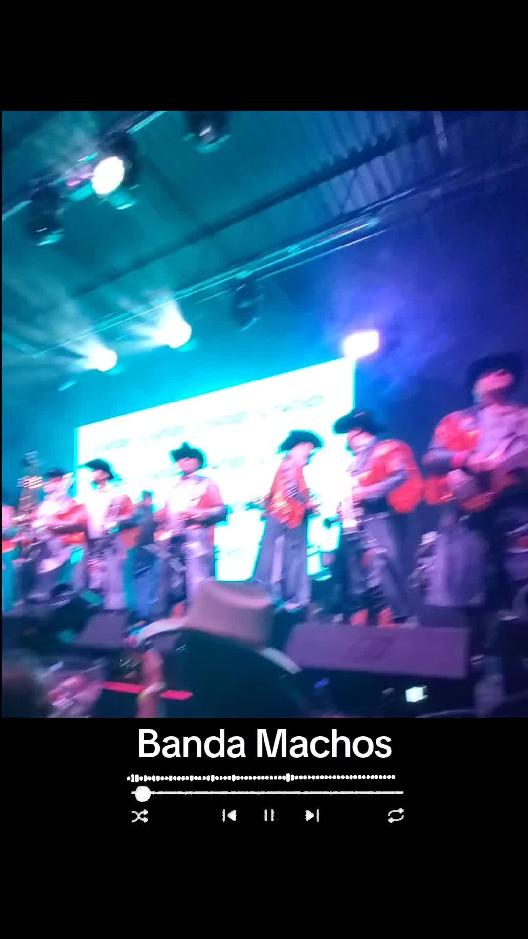 @Miguel Angel Official